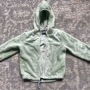 The North Face Oso Fleece Hoodie Light Green 18-24 Mo